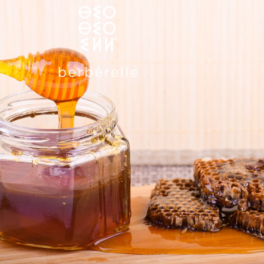 Miel Brut vs Miel Pasteurisé et Filtré : Démystifions les Différences et Célébrons les Saveurs Authentiques